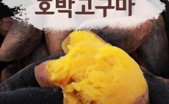 놓치면 후회할 2023 해남농협 해남 황토 호박고구마 8kg 베스트상품