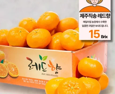 놓치면 후회할 귤로장생 제주 레드향 3.5kg1박스 베스트5