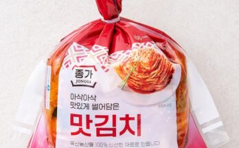 놓치면 후회할 맛김치 베스트5