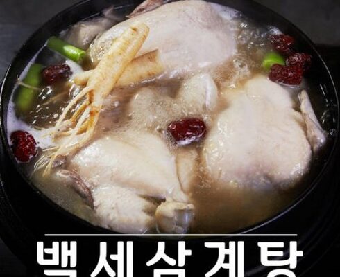 놓치면 후회할  특산 백세 삼계탕 10팩  총 10kg 베스트상품